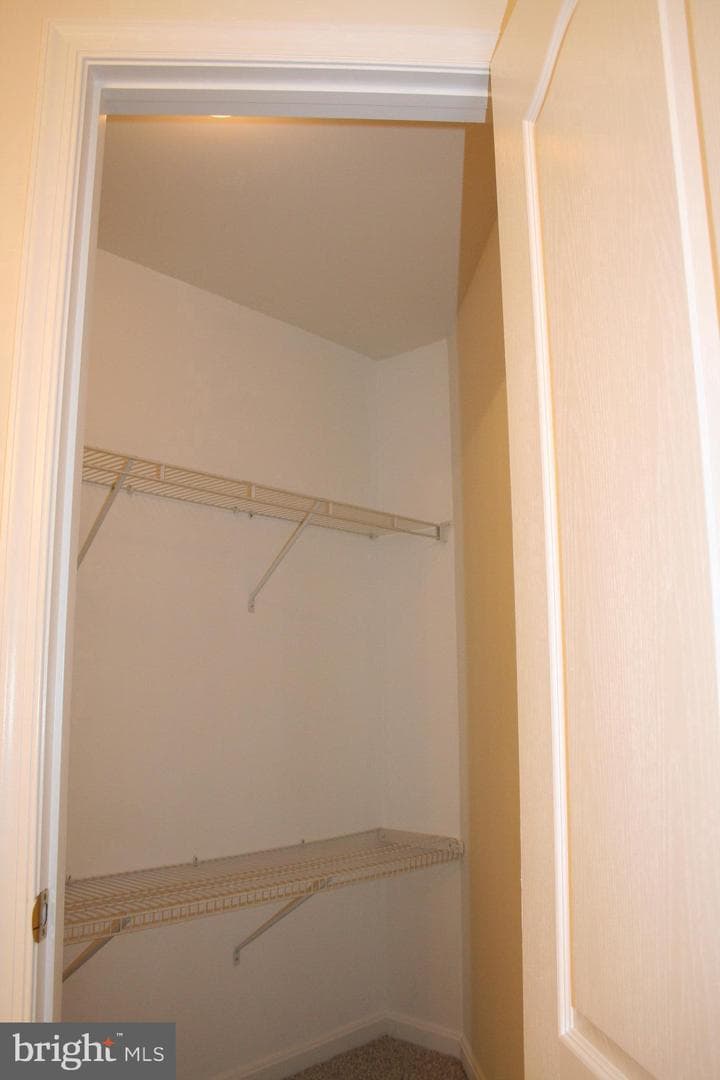 113 Whiskey Creek Circle photo 47