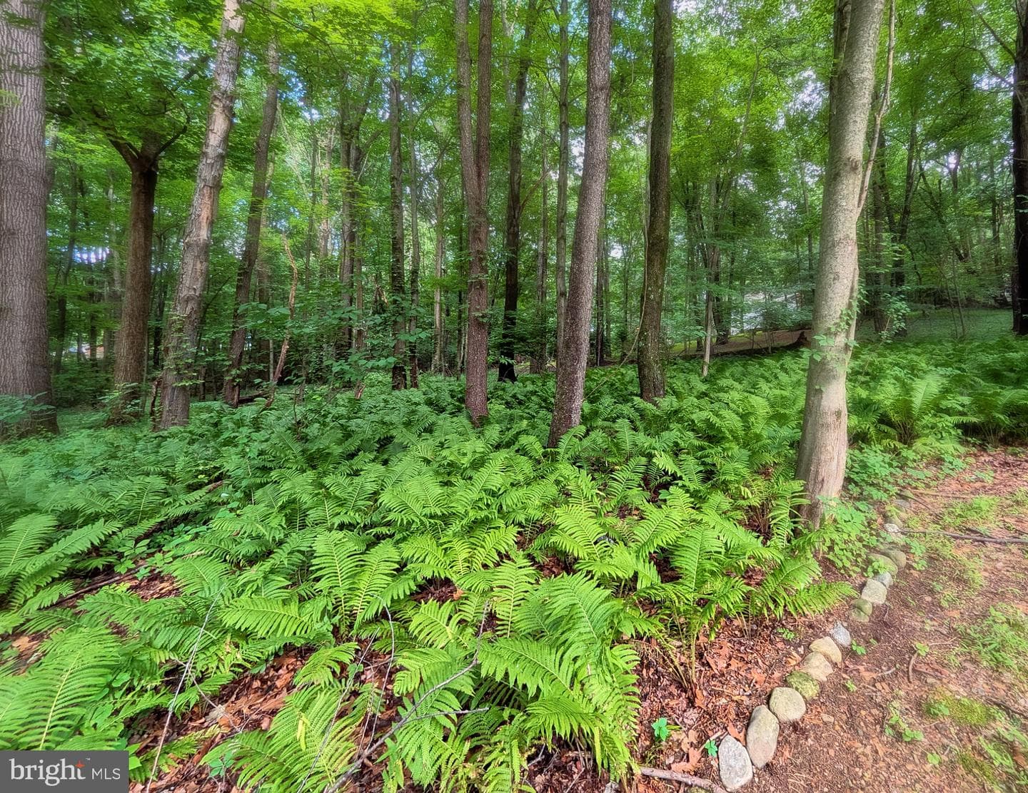 5604 Catoctin Ridge photo 16