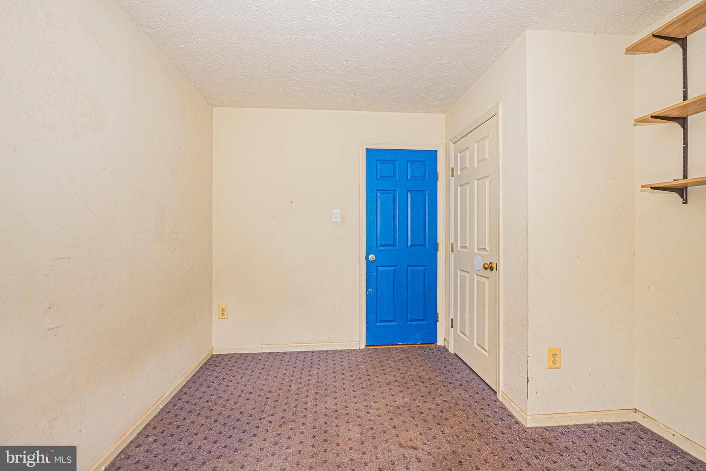 502 Teal Court photo 24