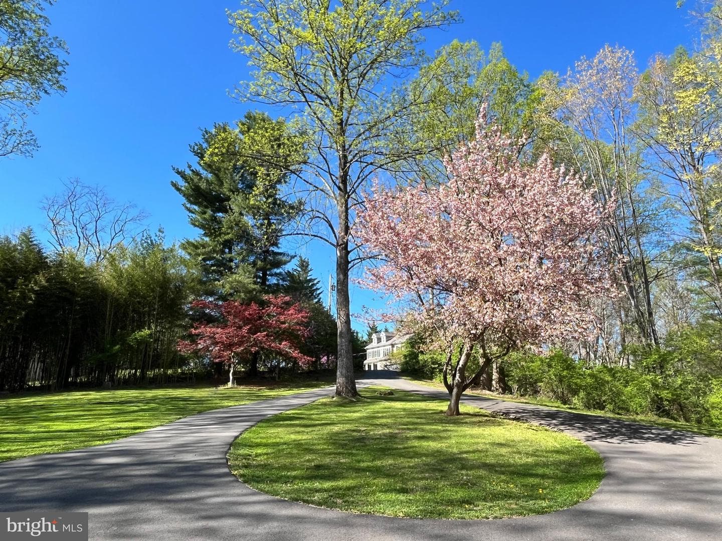 8323 Sharon Drive photo 4