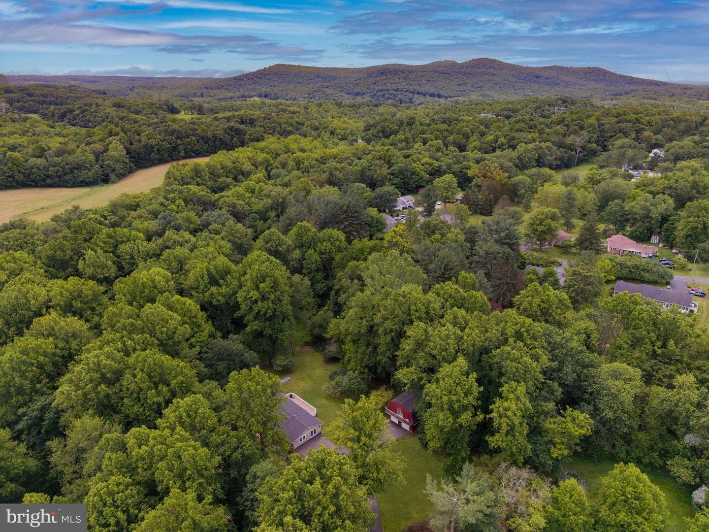 8323 Sharon Drive photo 59