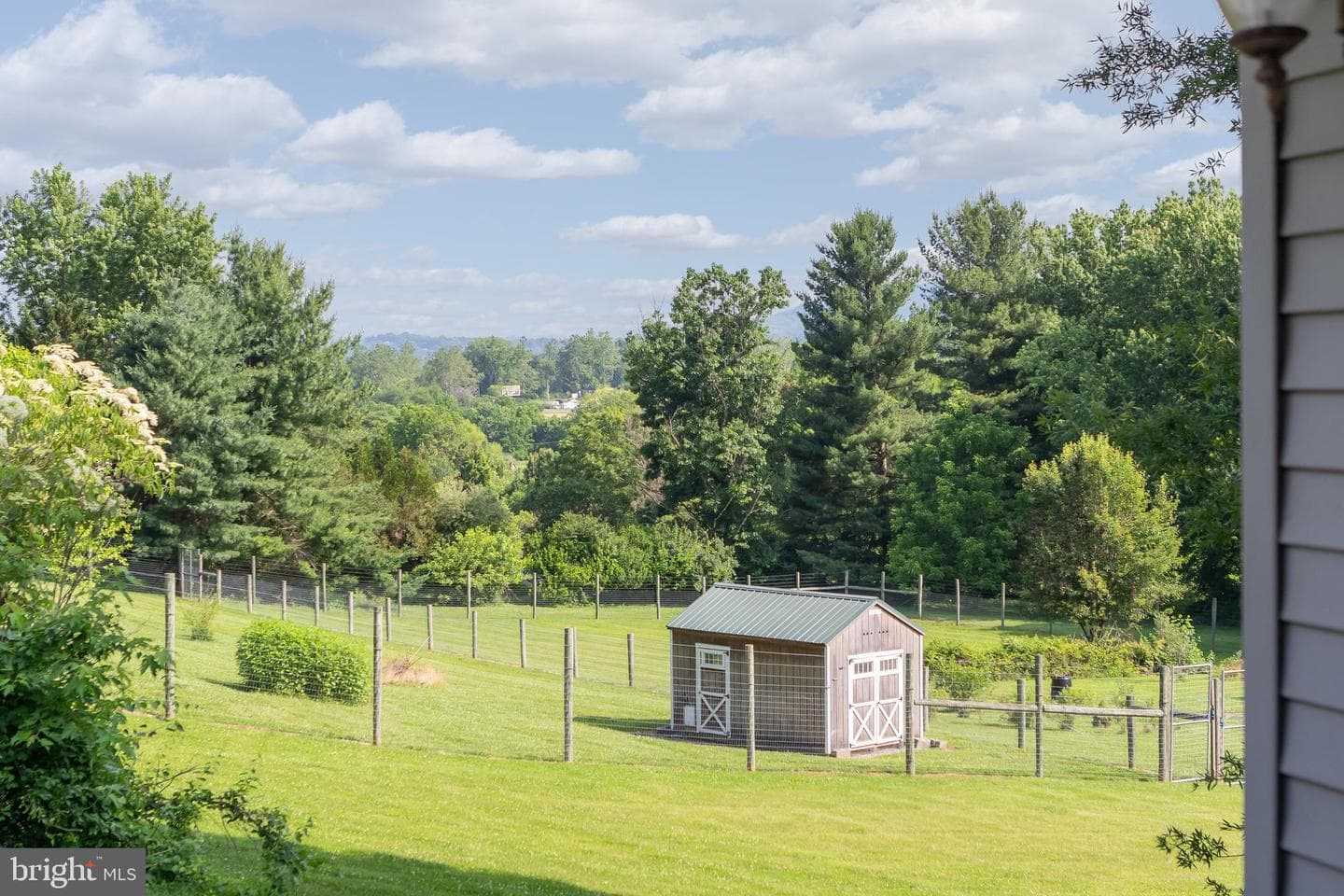 8613 Hollow Road photo 63