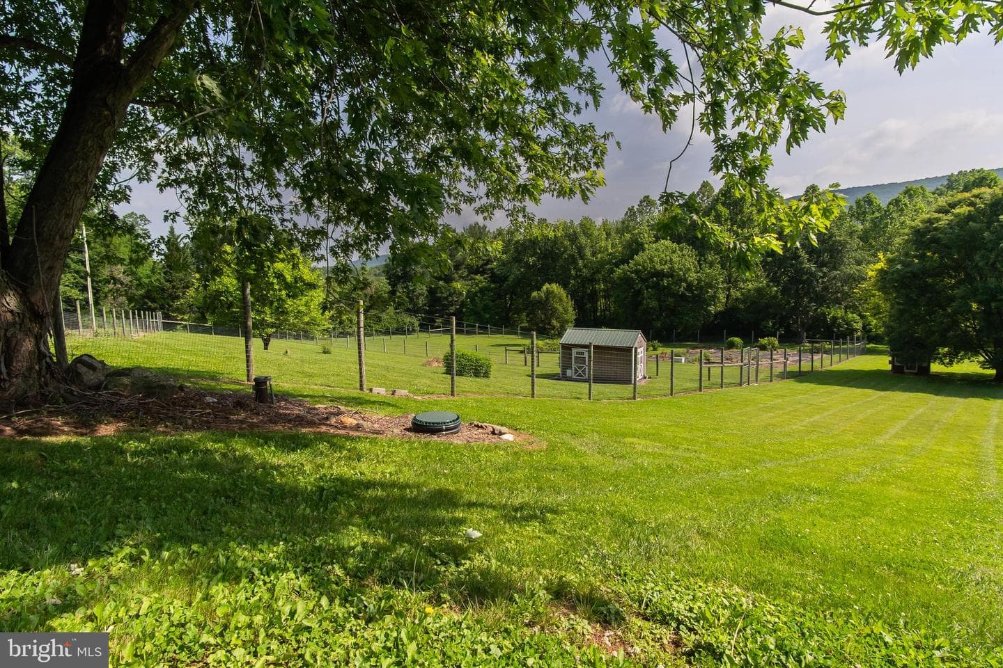 8613 Hollow Road photo 78