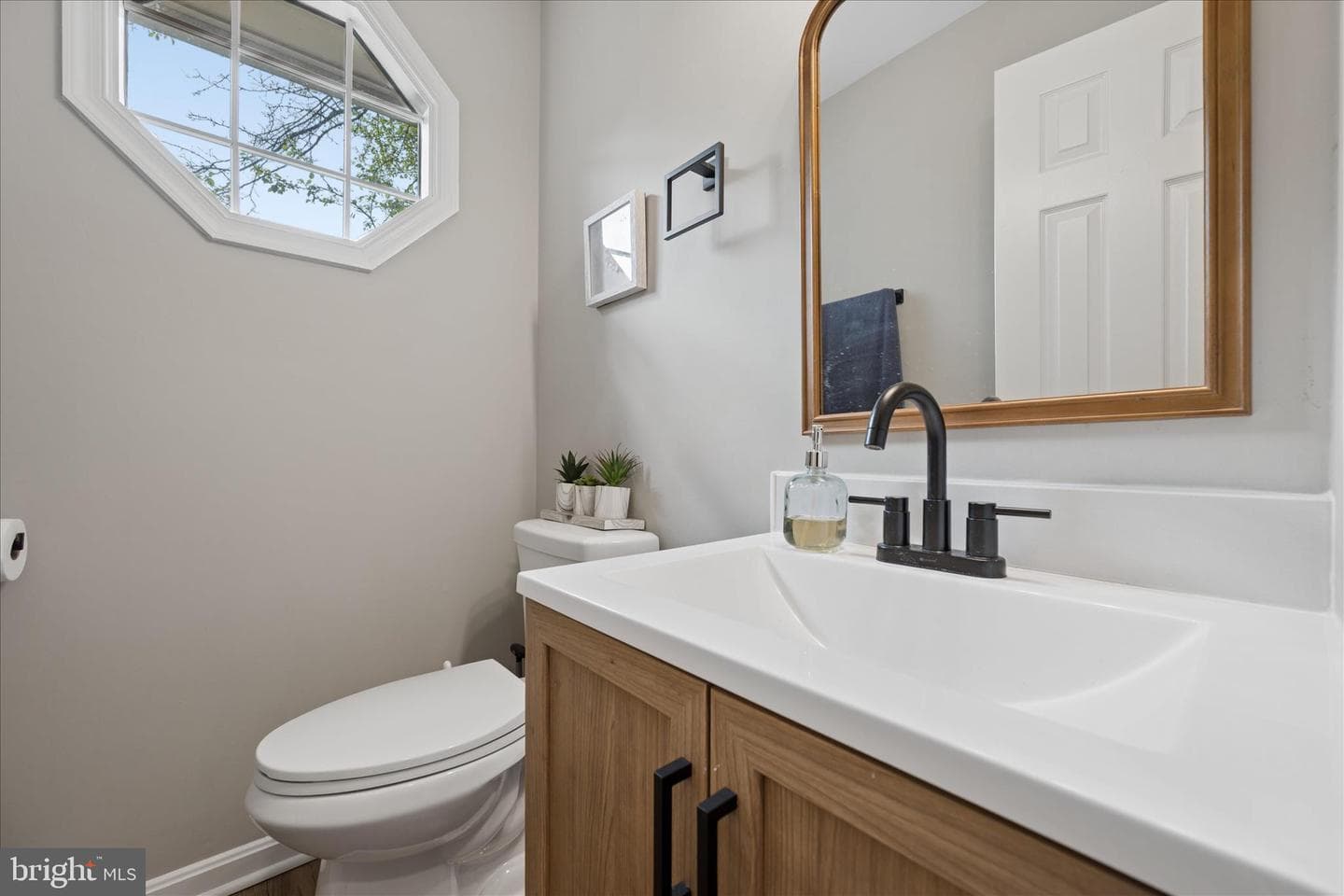 6866 Whistling Swan Way photo 25