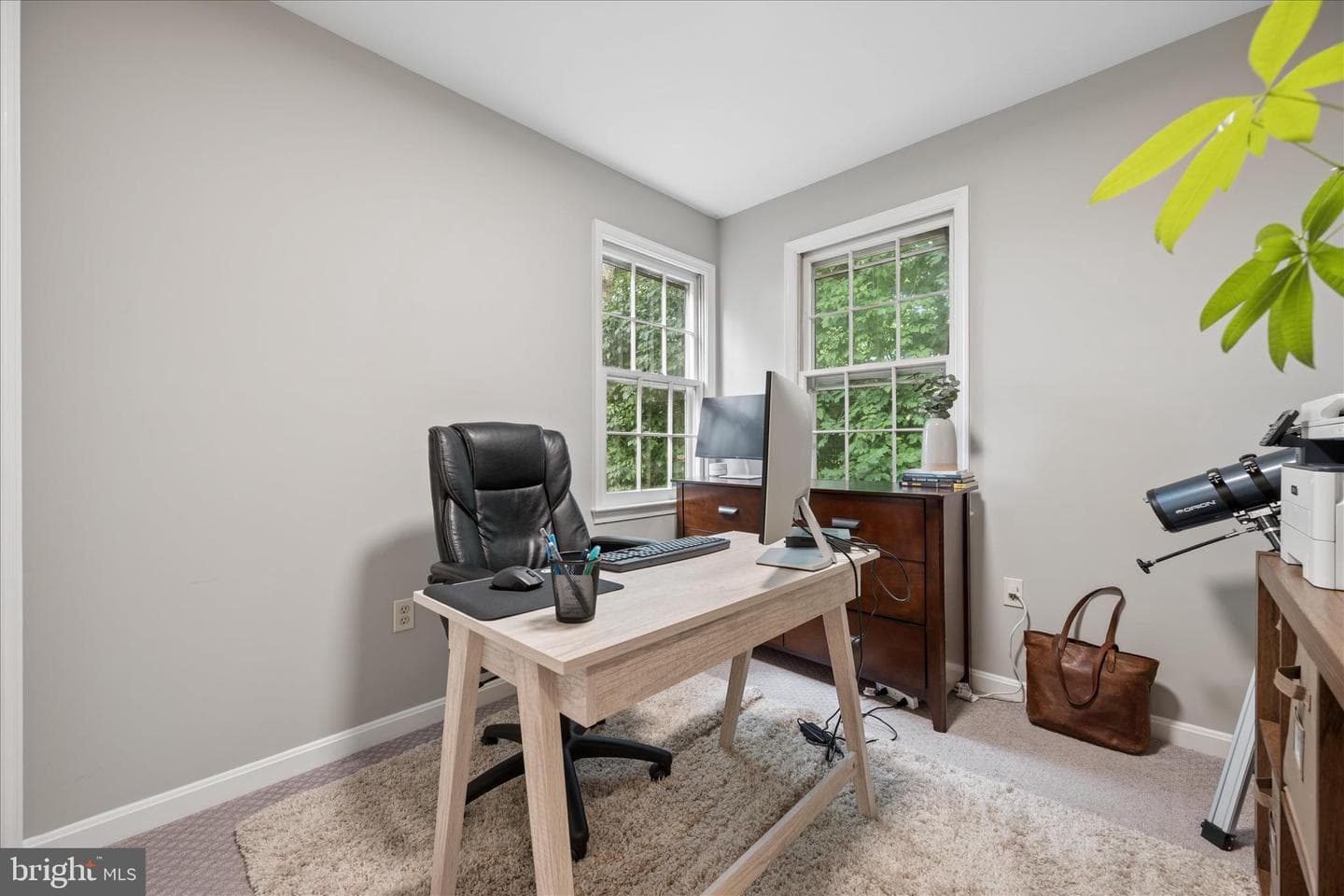 6866 Whistling Swan Way photo 37