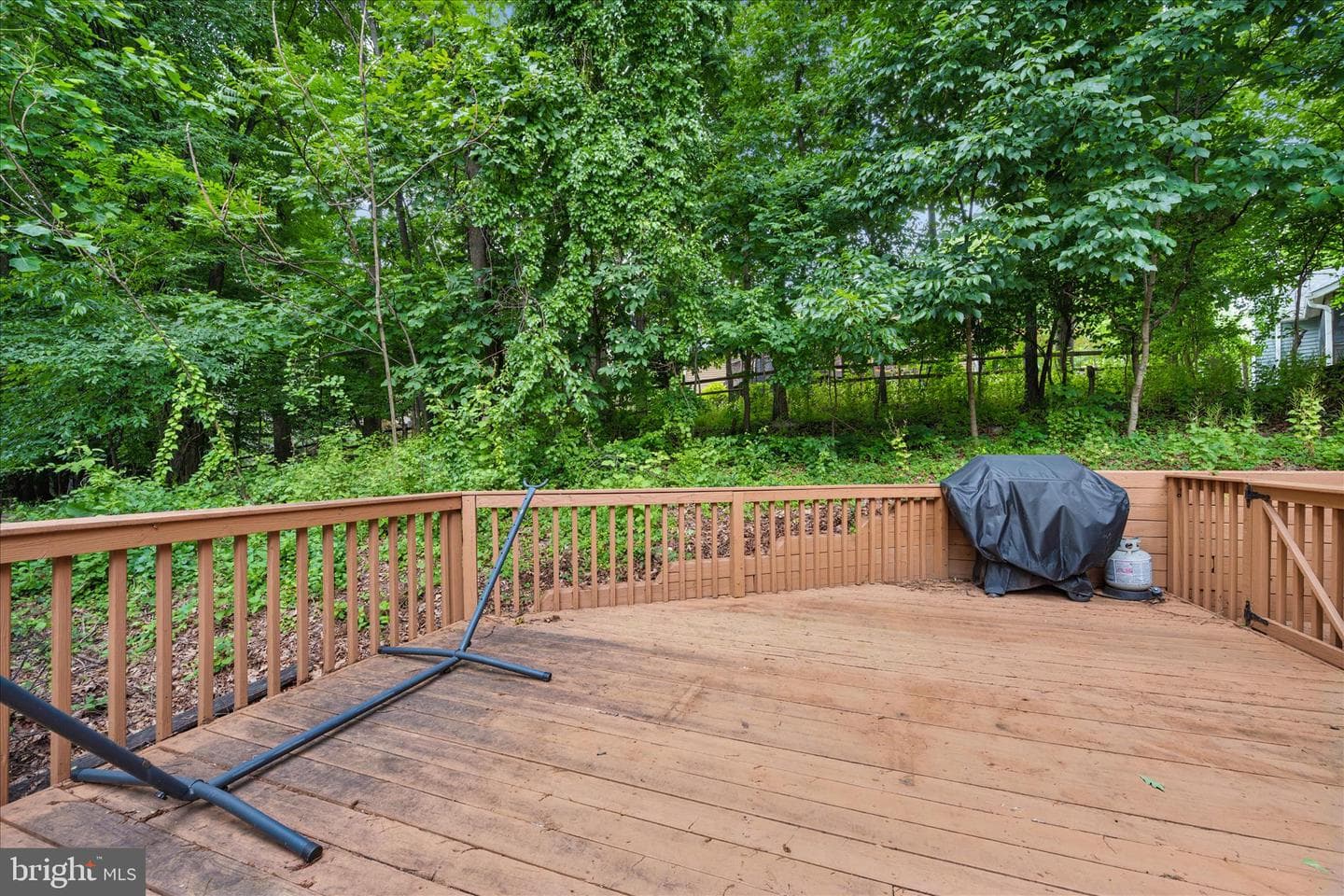 6866 Whistling Swan Way photo 58