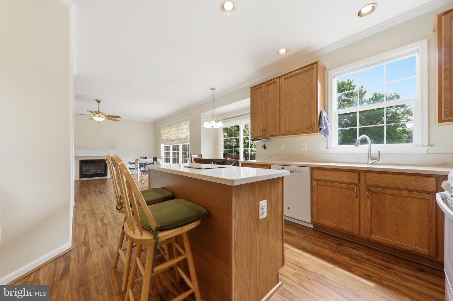 612 Bushytail Drive photo 18