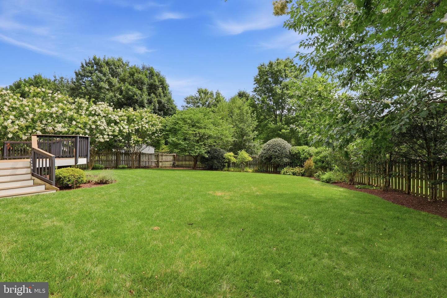 612 Bushytail Drive photo 49
