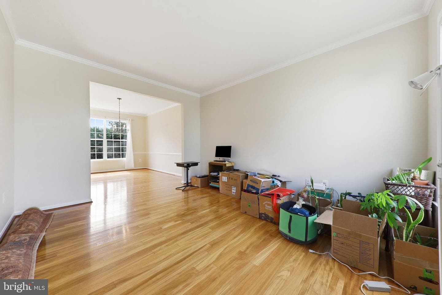 612 Bushytail Drive photo 7