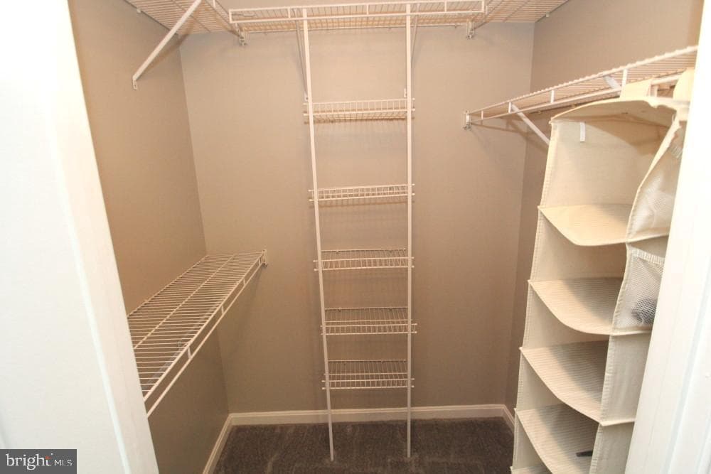 2112 Whitehall Road #2c photo 22
