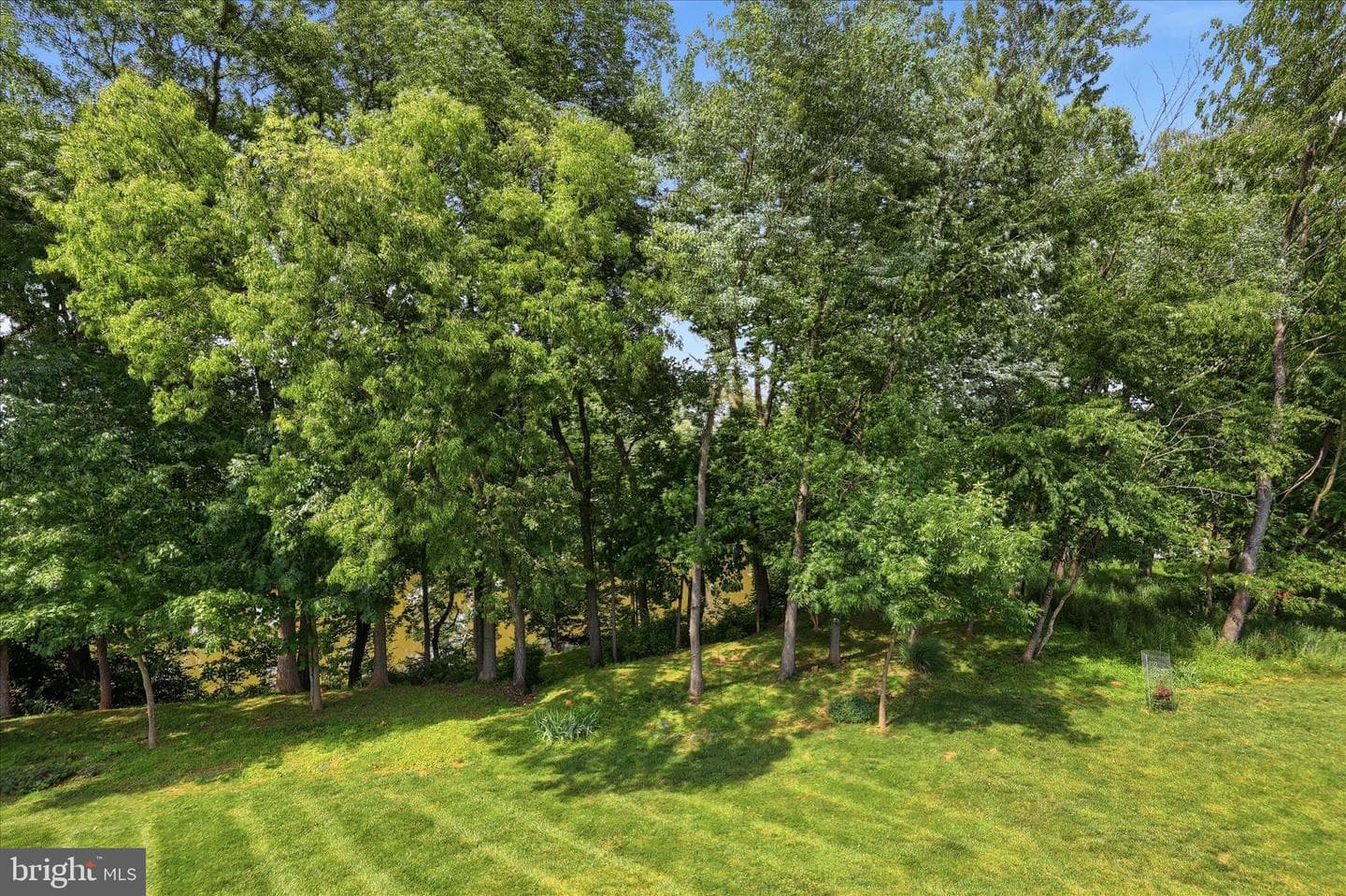 2924 Mill Island Parkway photo 52
