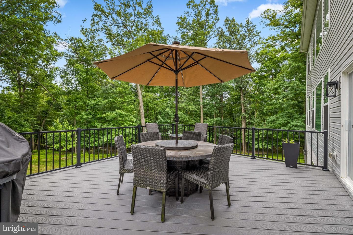 14536 Black Ankle Road photo 11