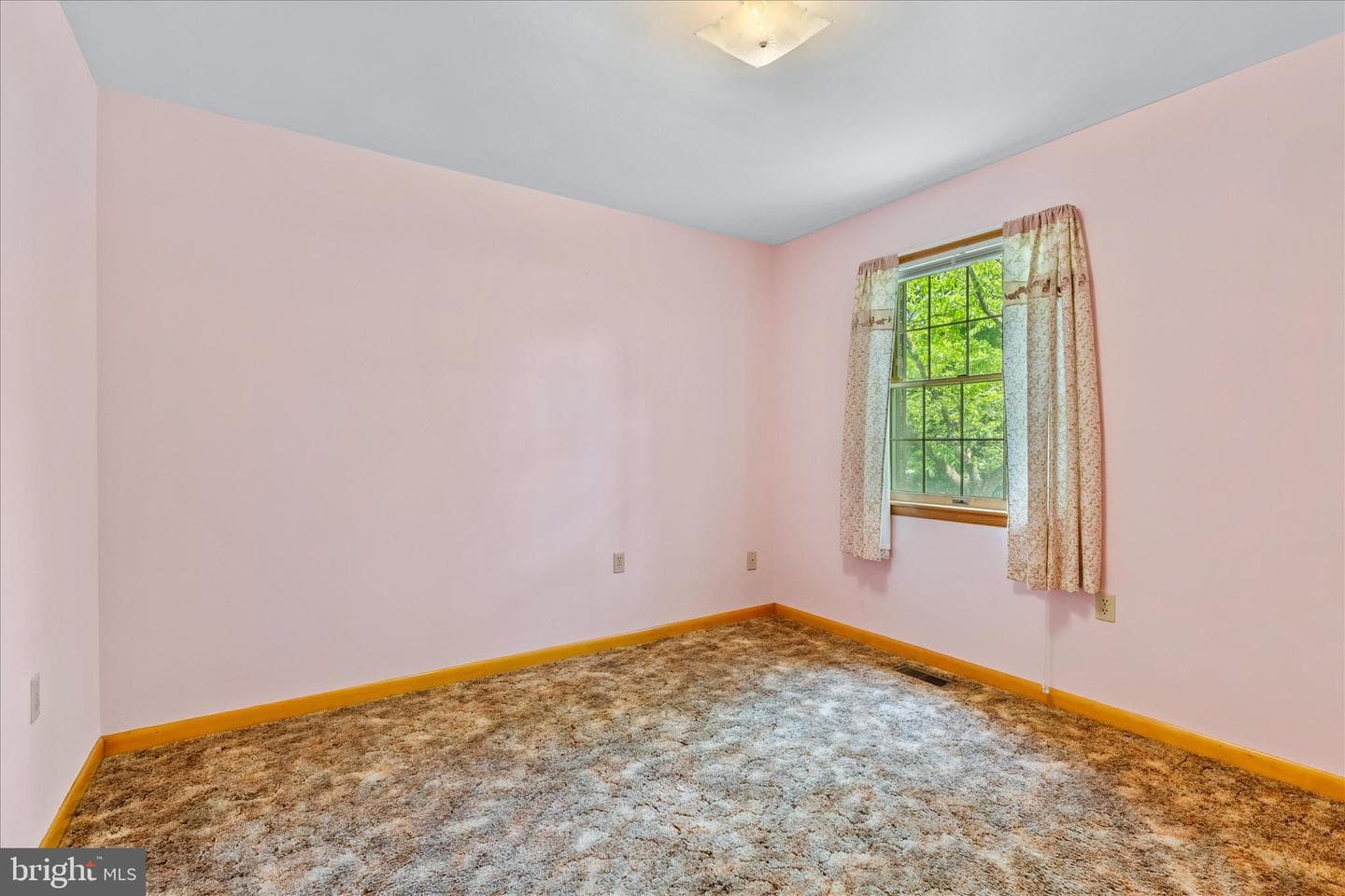 12 Caroline Drive photo 32