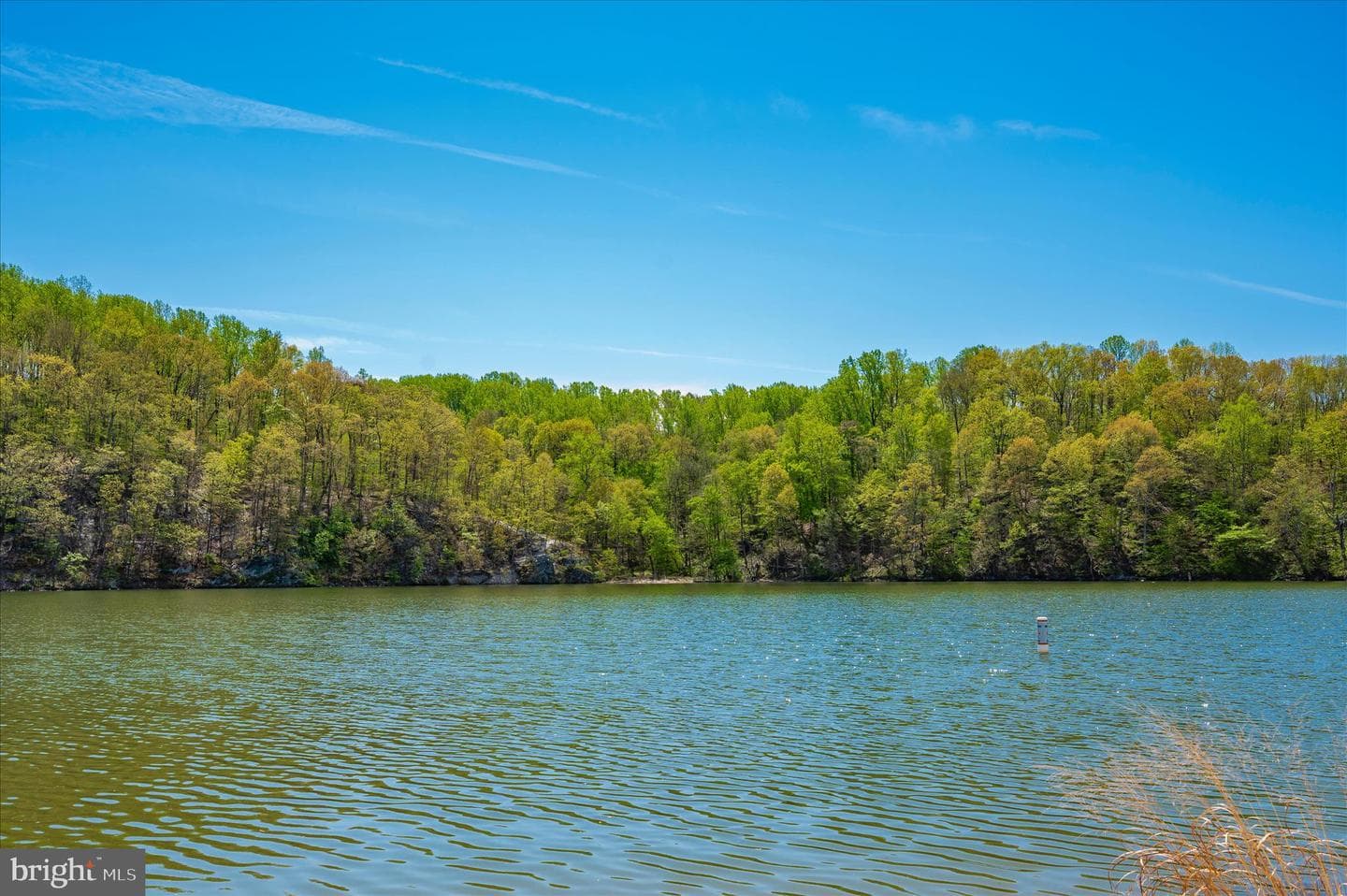 10801 Lake Court E photo 103