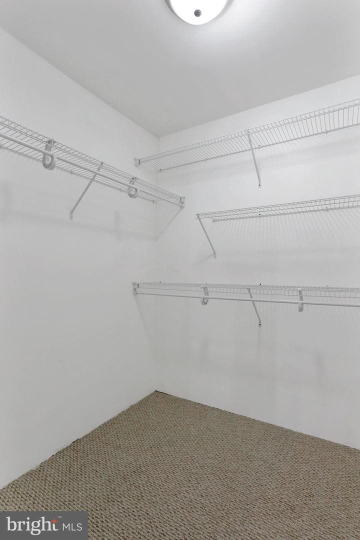 105 Spring Blossom Lane photo 34