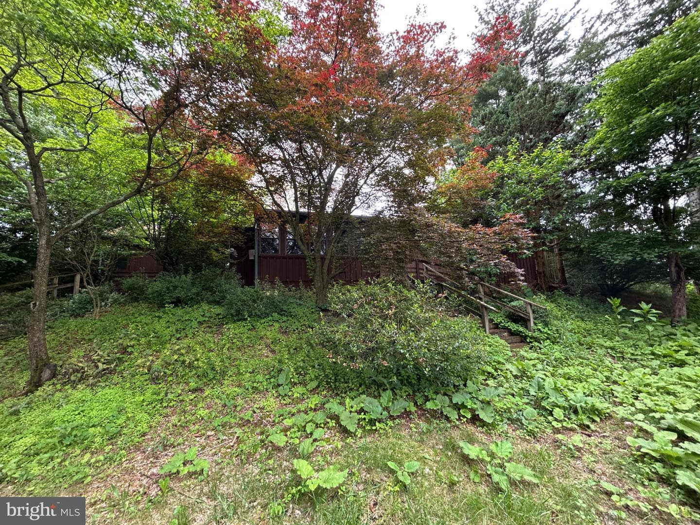 17233 Mountain View Road photo 16