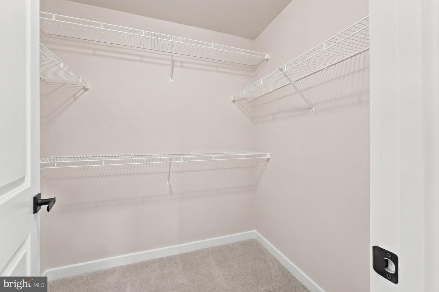 8443 Red Sage Lane photo 20