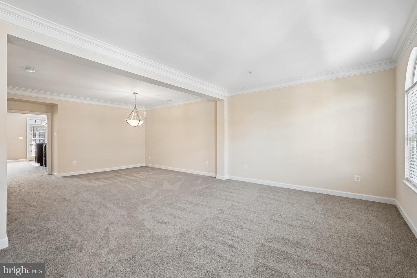 3615 Spring Hollow Lane #3615 photo 28
