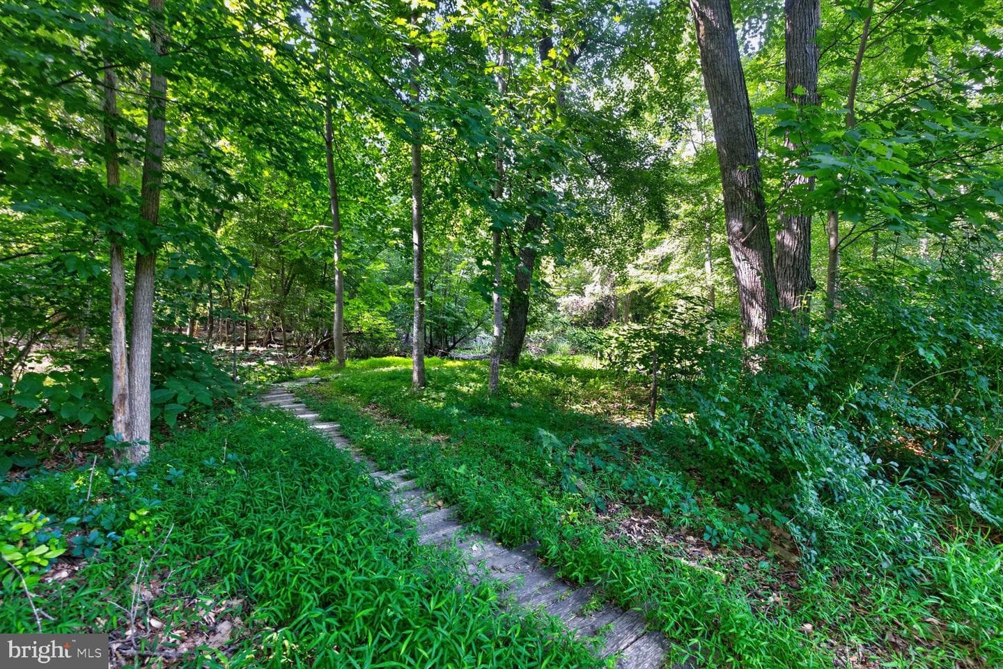 13728 Pryor Road photo 17