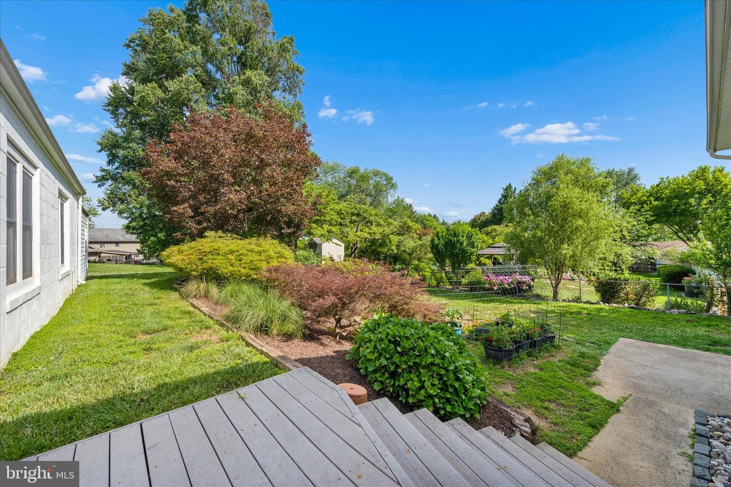 1607 Wise Road photo 6