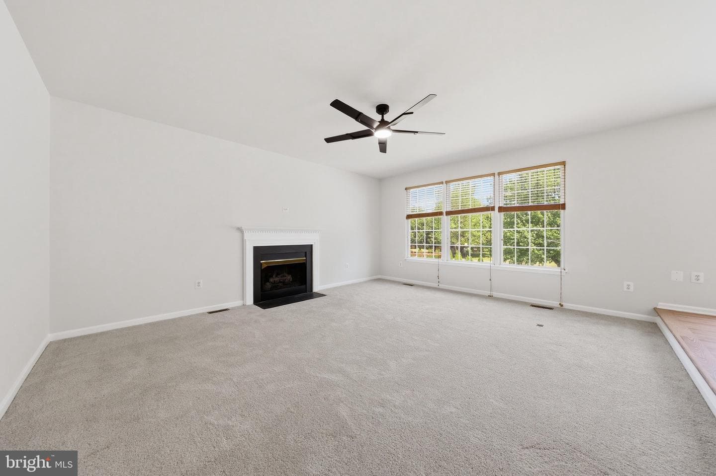169 Midsummer Drive photo 77