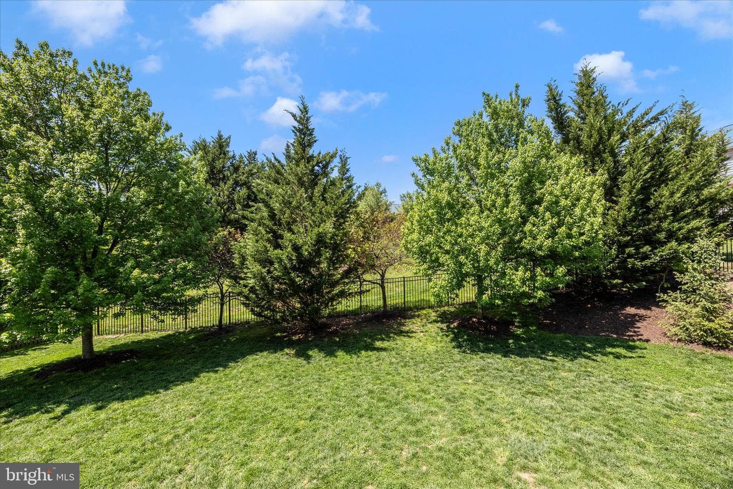 6914 Cardozo Street photo 50