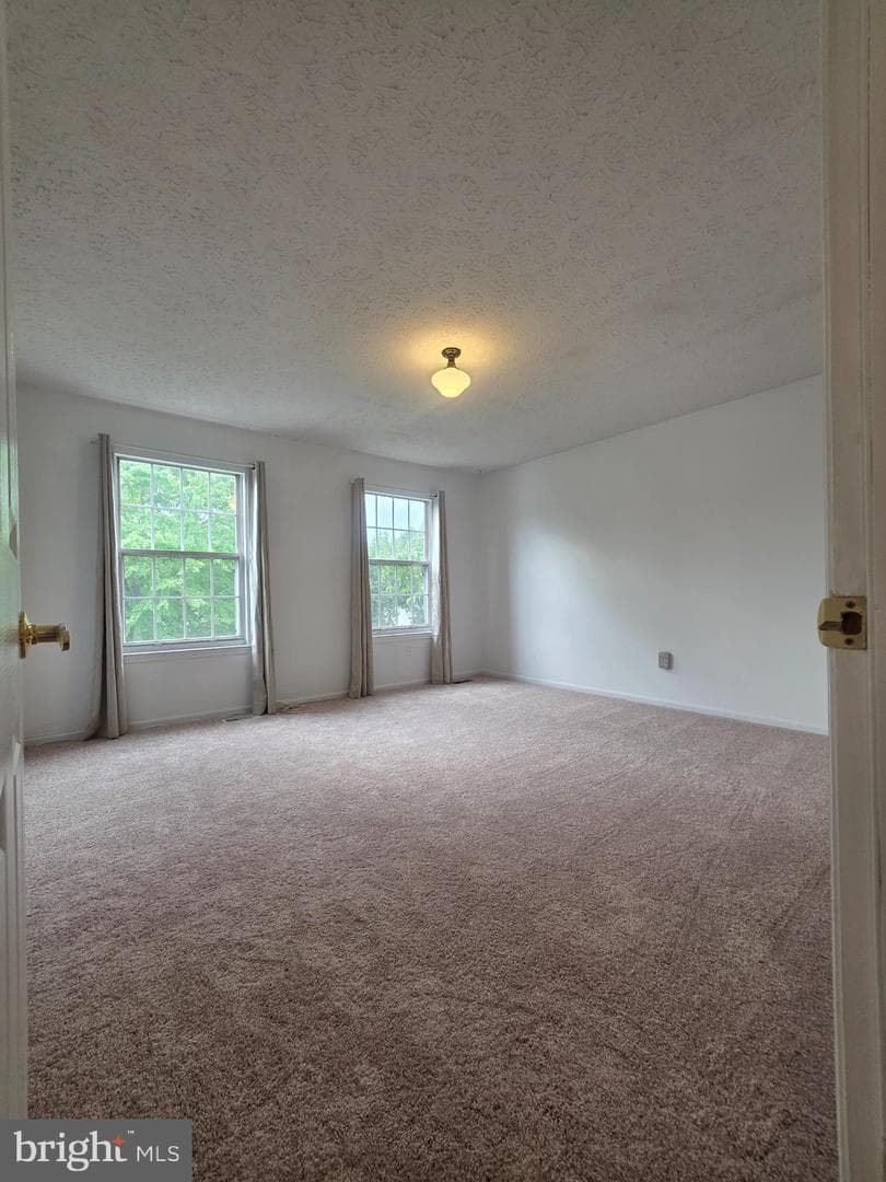 516 Sage Hen Way photo 18