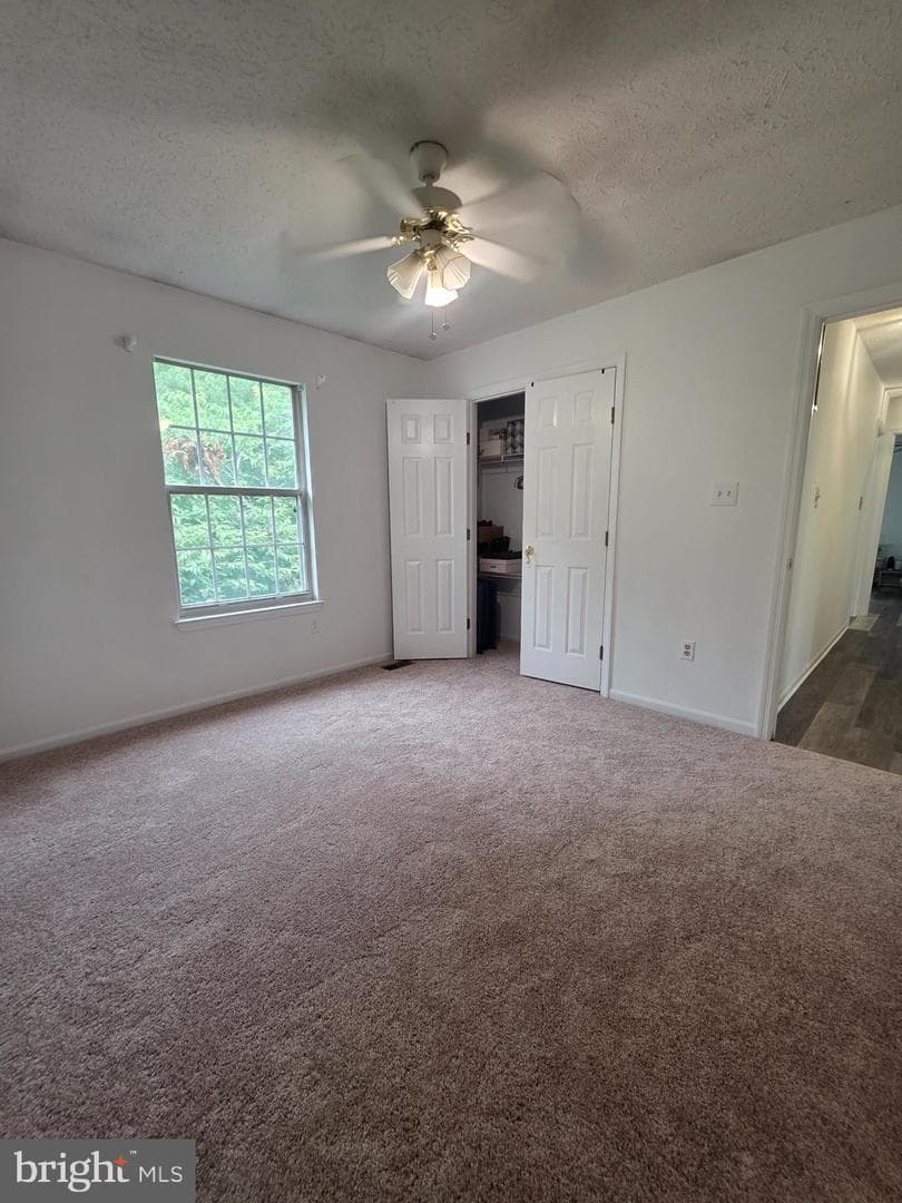 516 Sage Hen Way photo 20