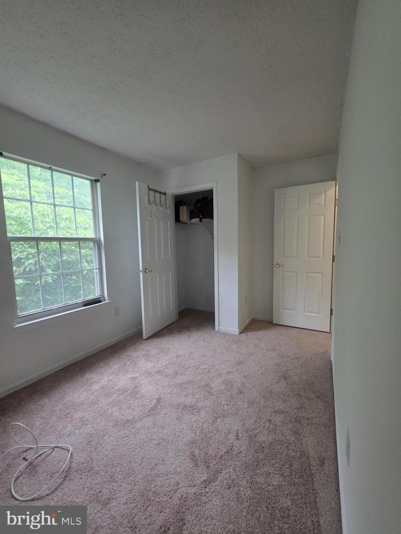 516 Sage Hen Way photo 38