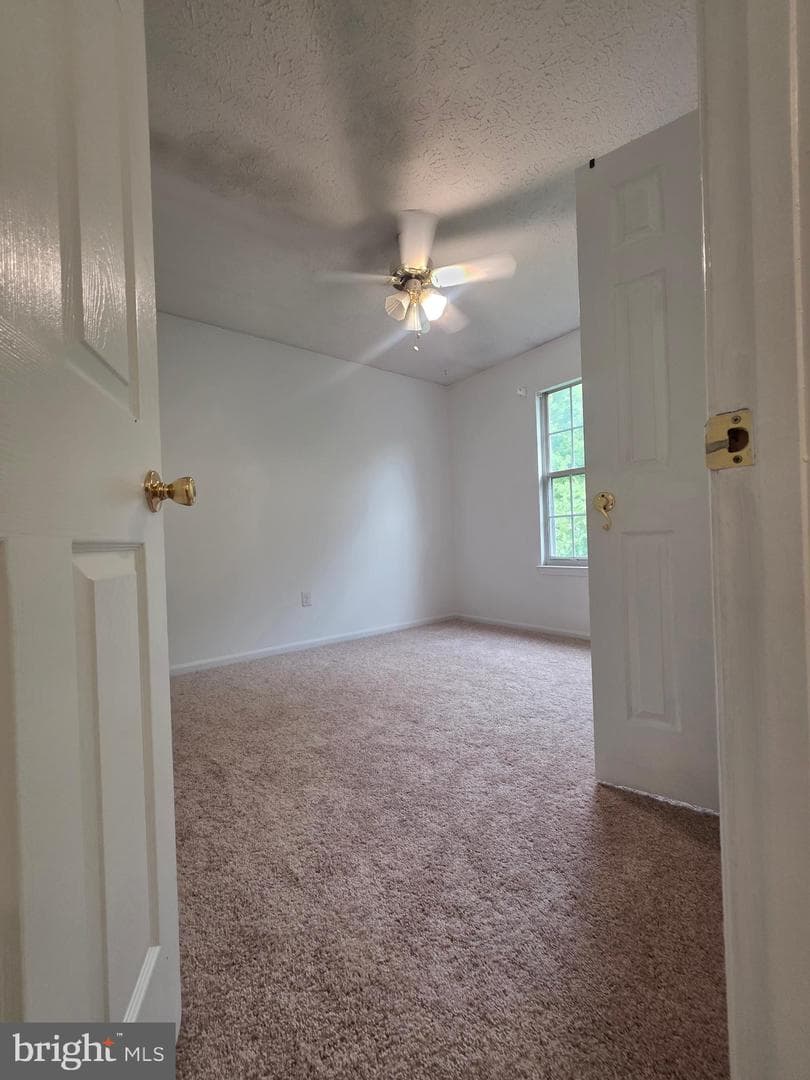 516 Sage Hen Way photo 39