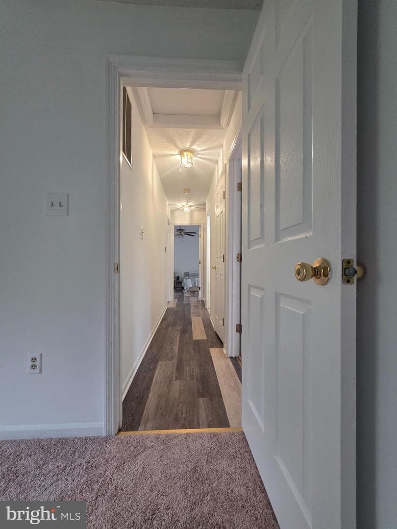 516 Sage Hen Way photo 4