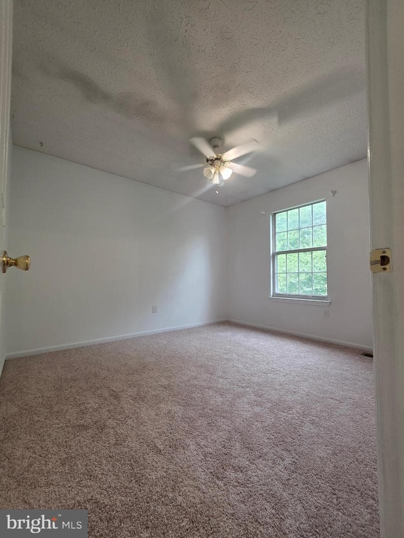 516 Sage Hen Way photo 40