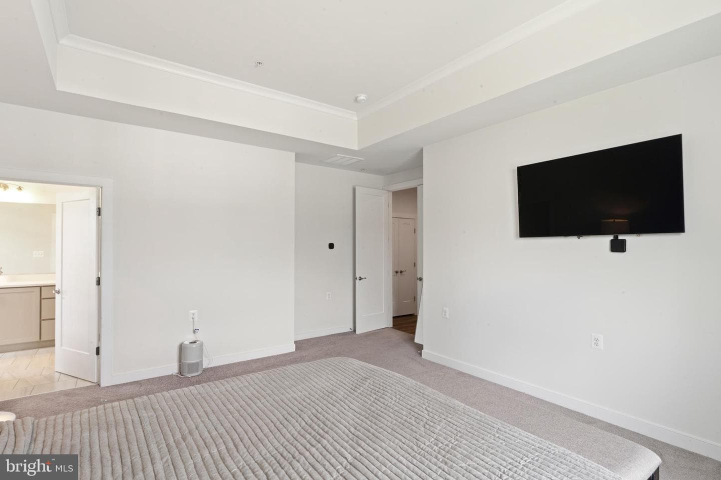 11068 Emerald Crown Drive photo 43