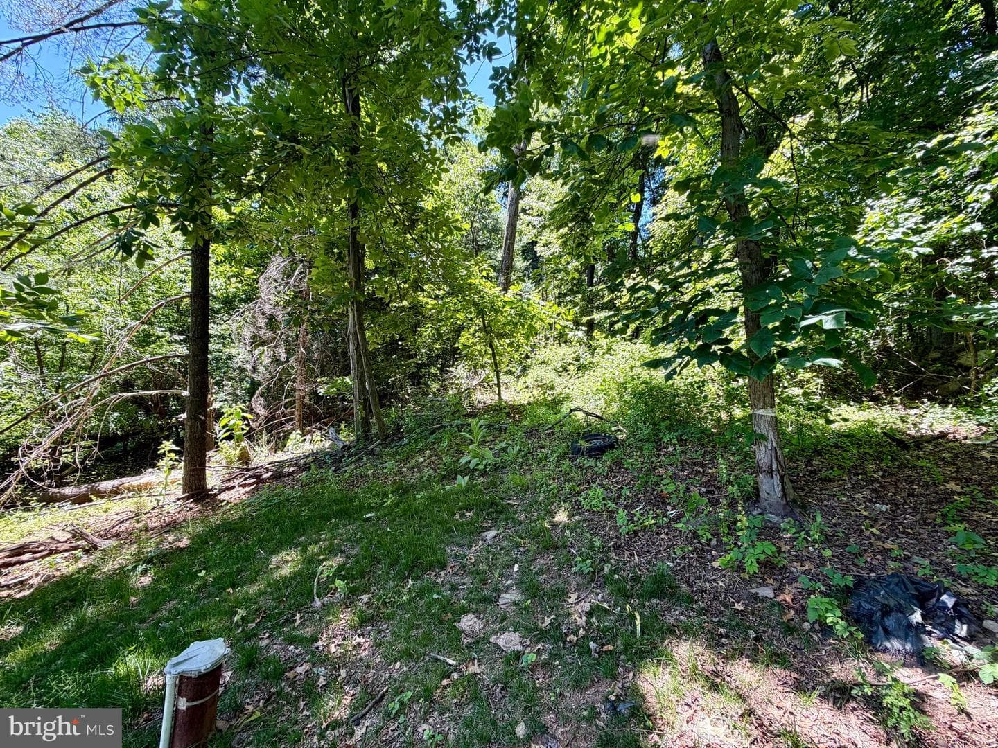 10121 Putman Road photo 18