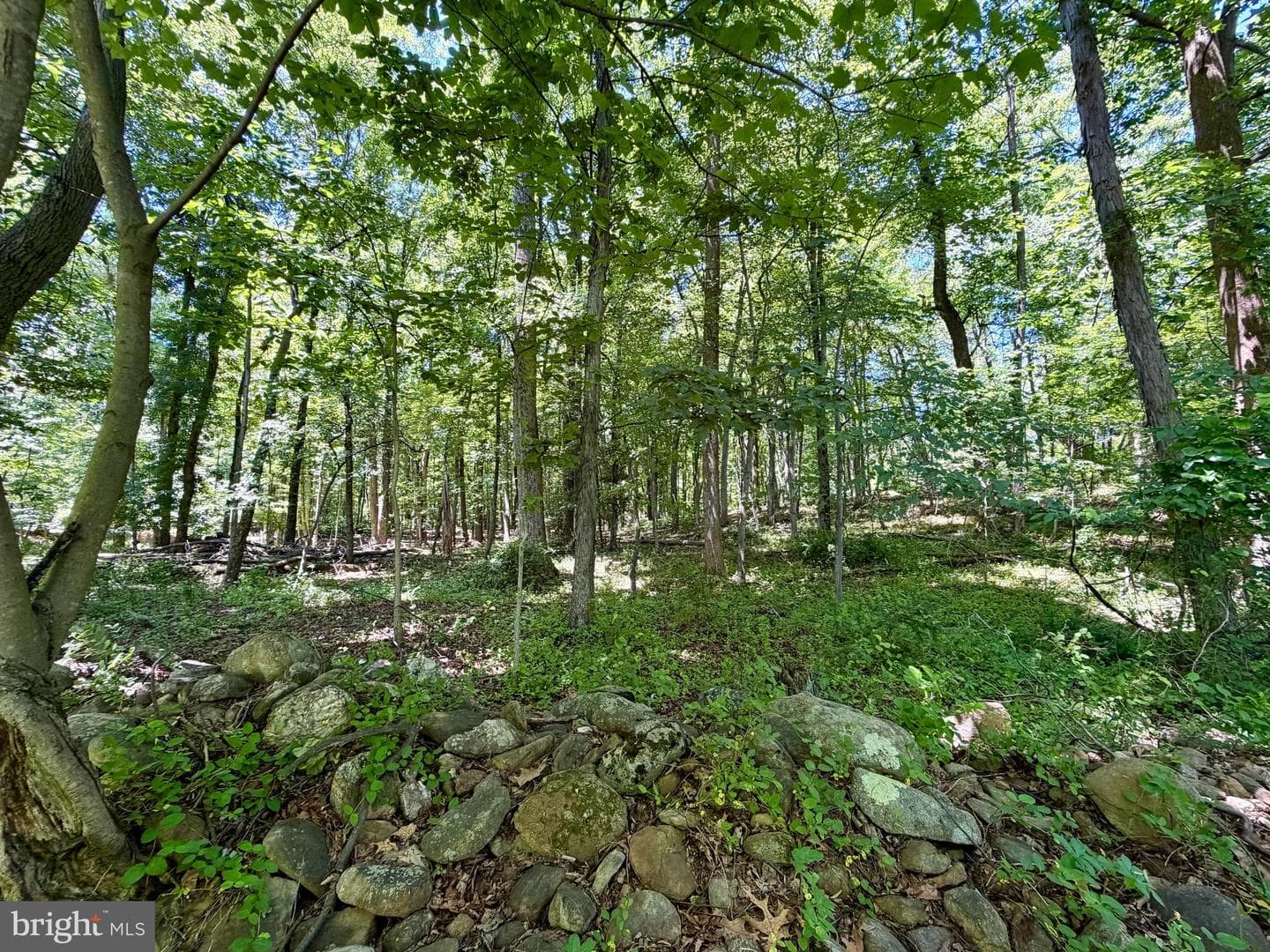 10121 Putman Road photo 19