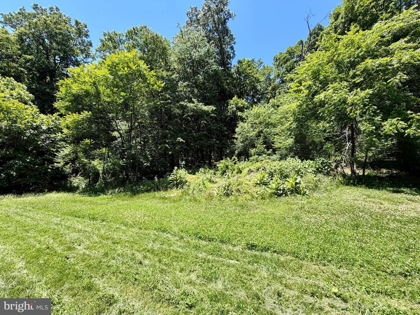 10121 Putman Road photo 20
