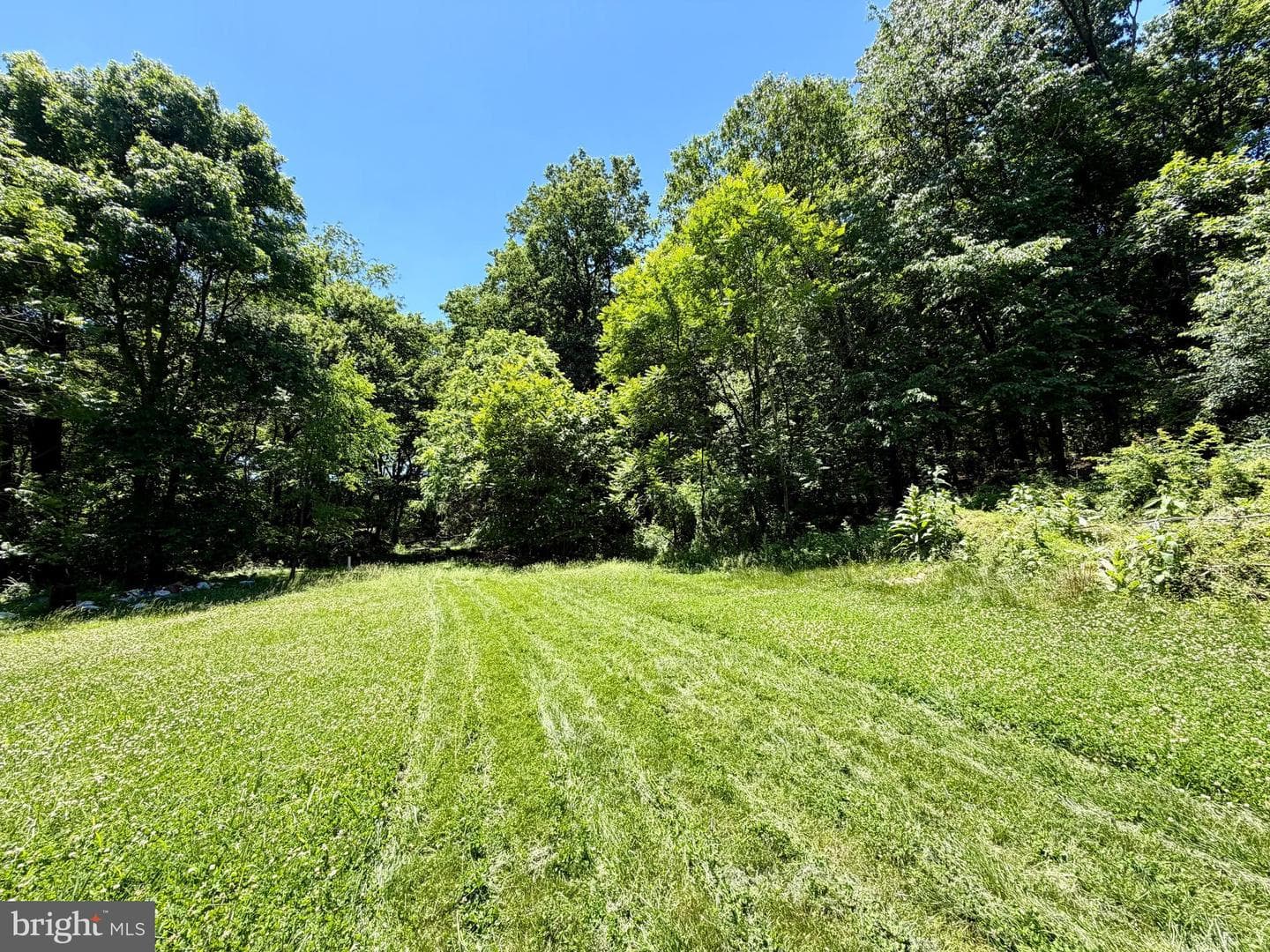10121 Putman Road photo 21