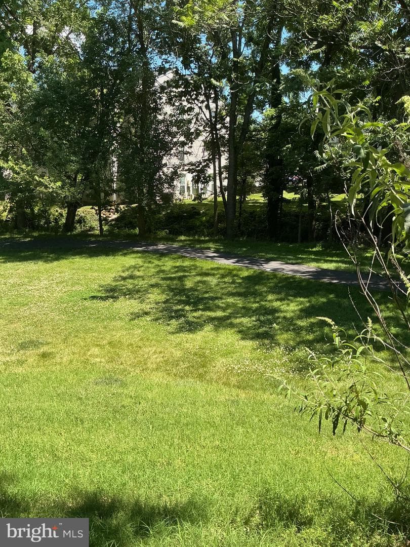 523 Ellison Court photo 65