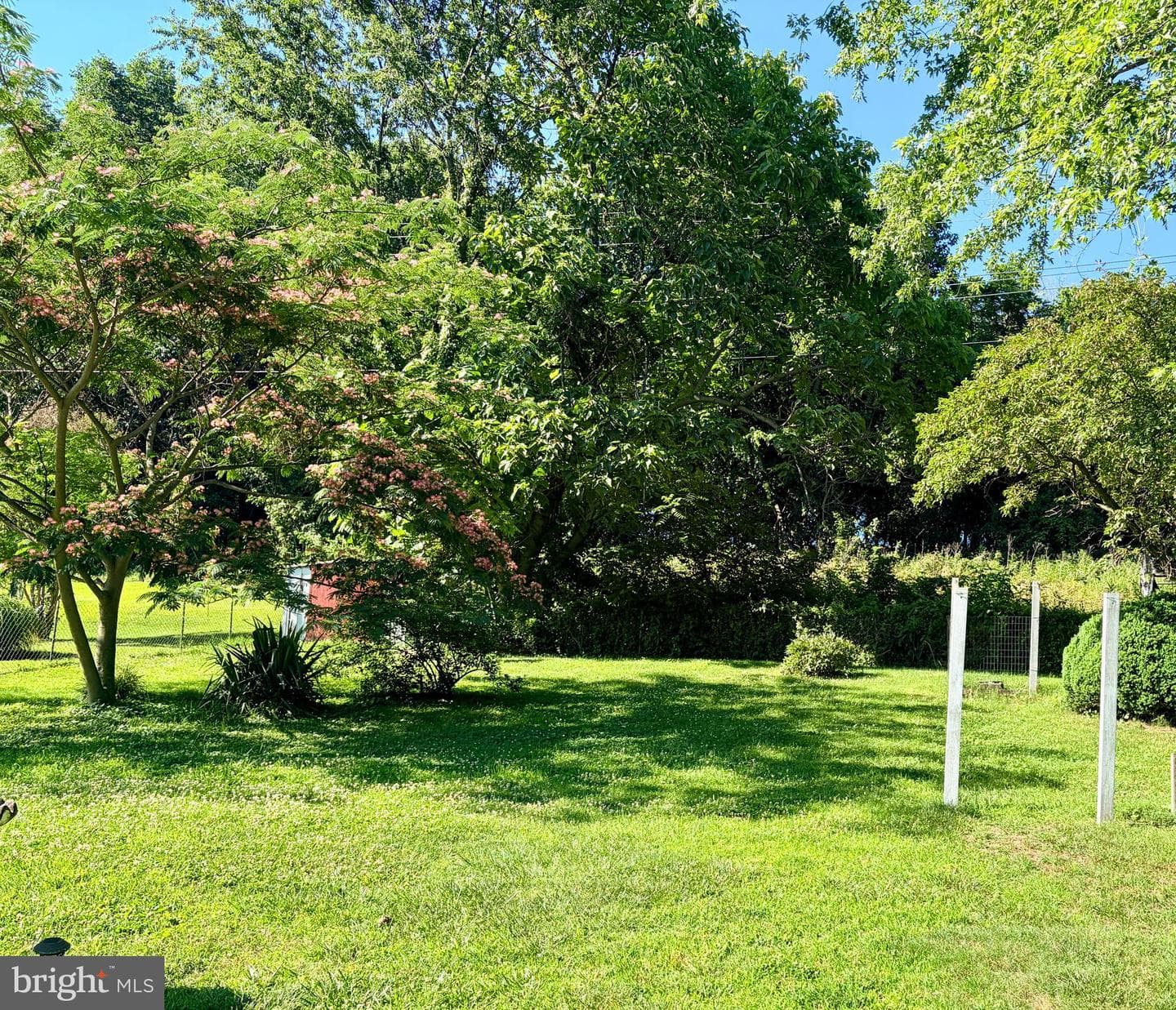 814 Tritapoe Drive photo 4