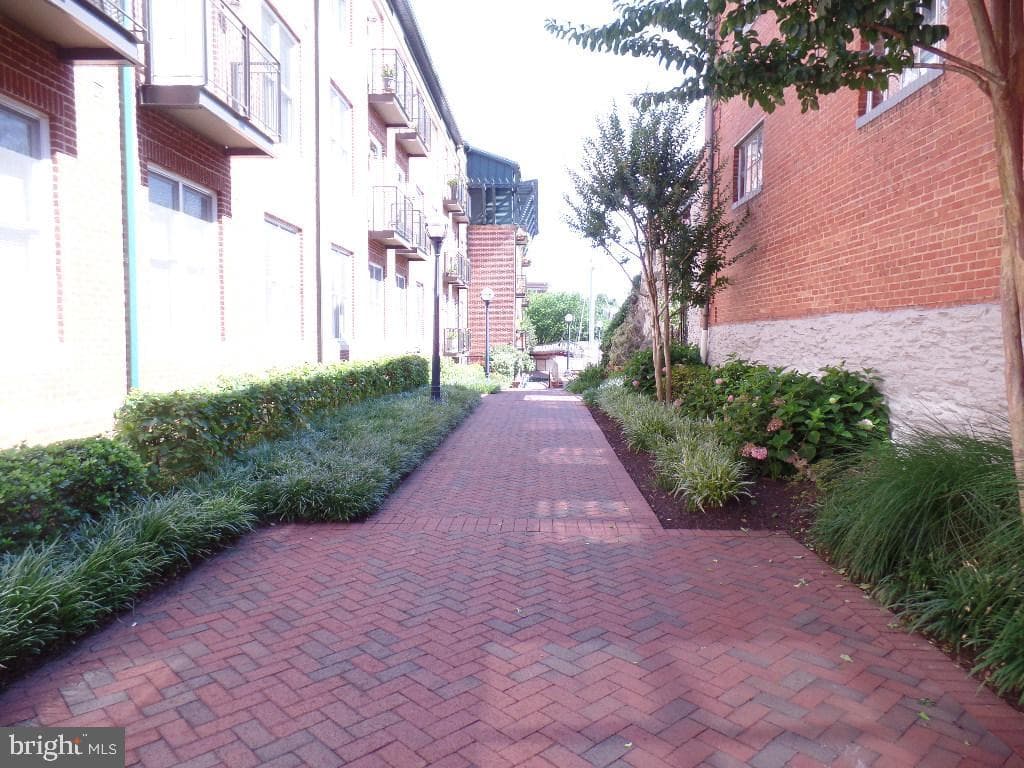 35 E All Saints Street #212 photo 12