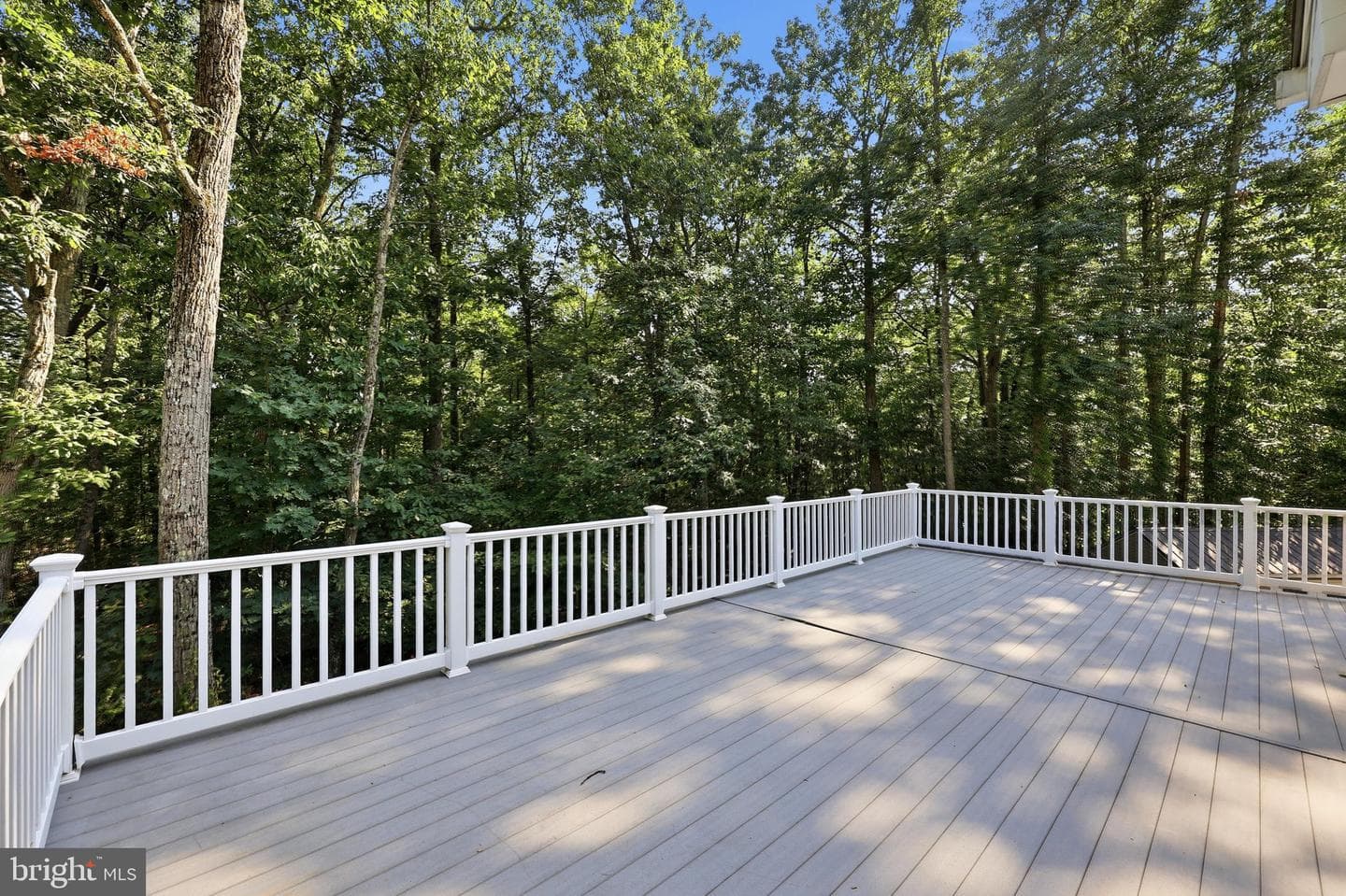 10029 Pine Tree Road photo 23