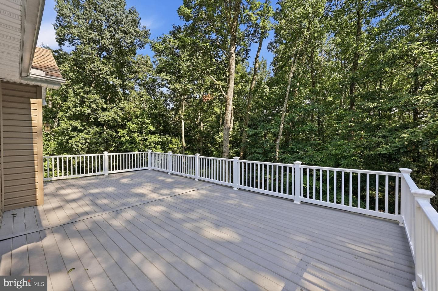 10029 Pine Tree Road photo 47