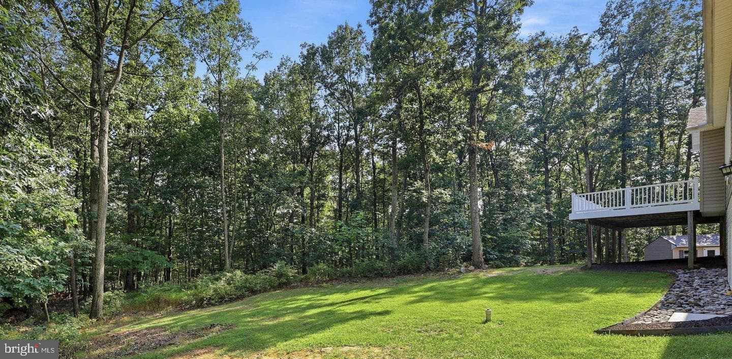 10029 Pine Tree Road photo 48