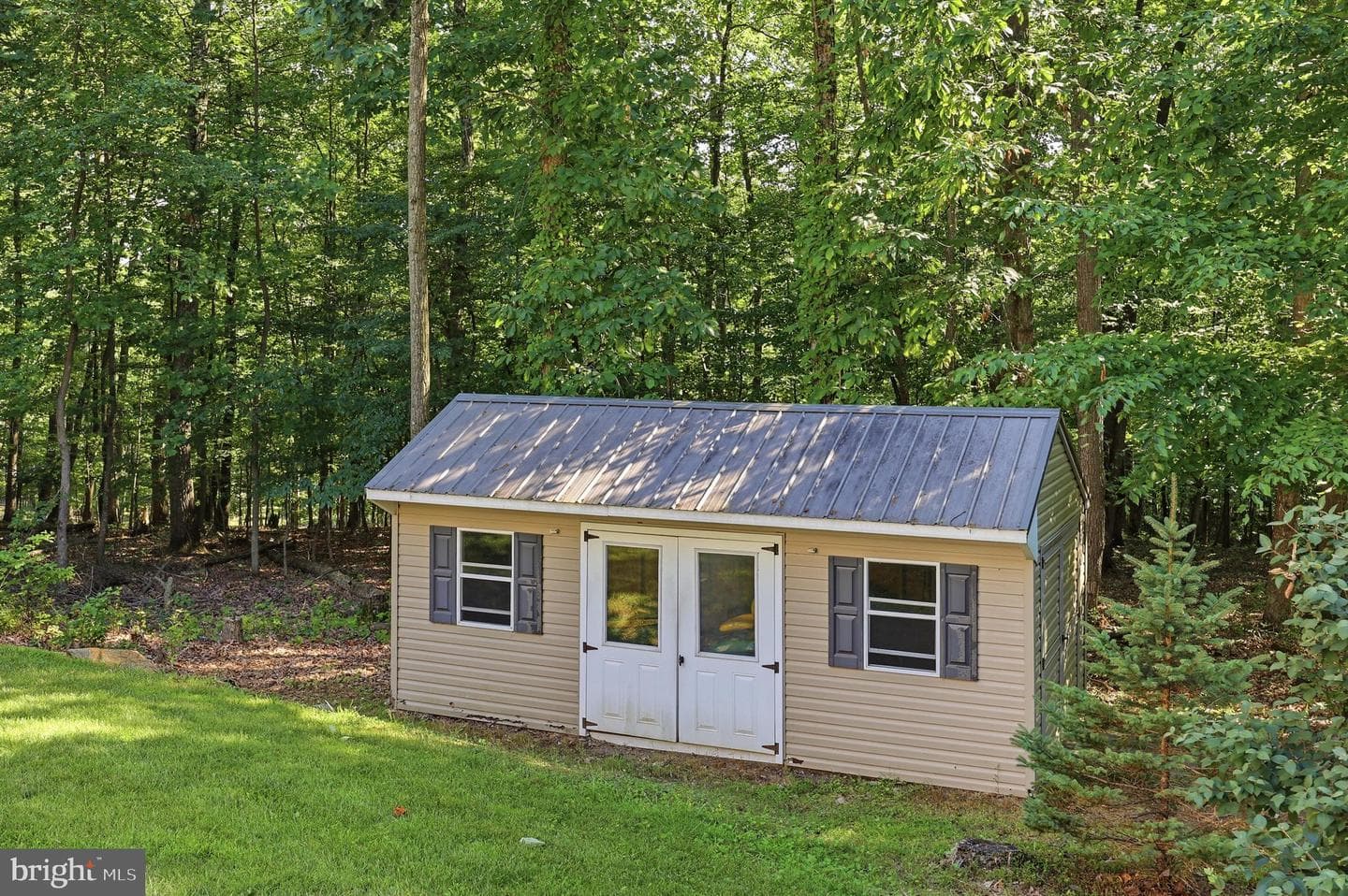 10029 Pine Tree Road photo 50