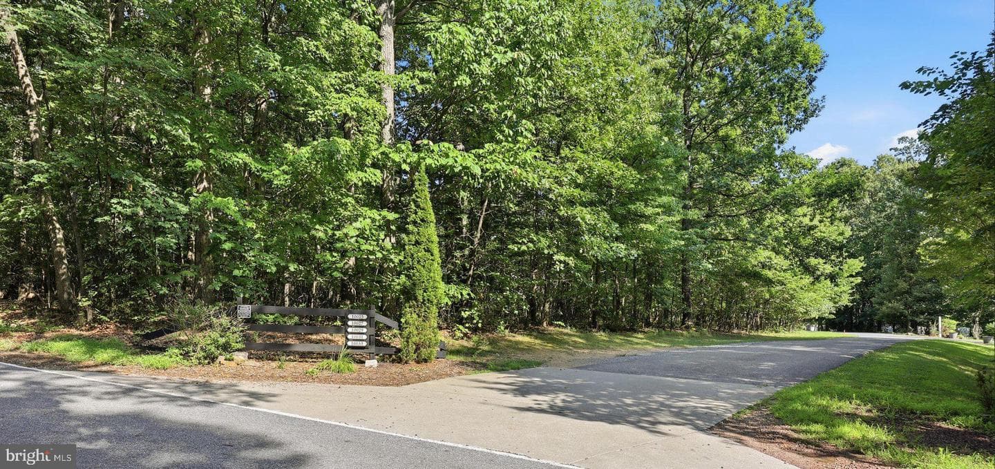 10029 Pine Tree Road photo 51