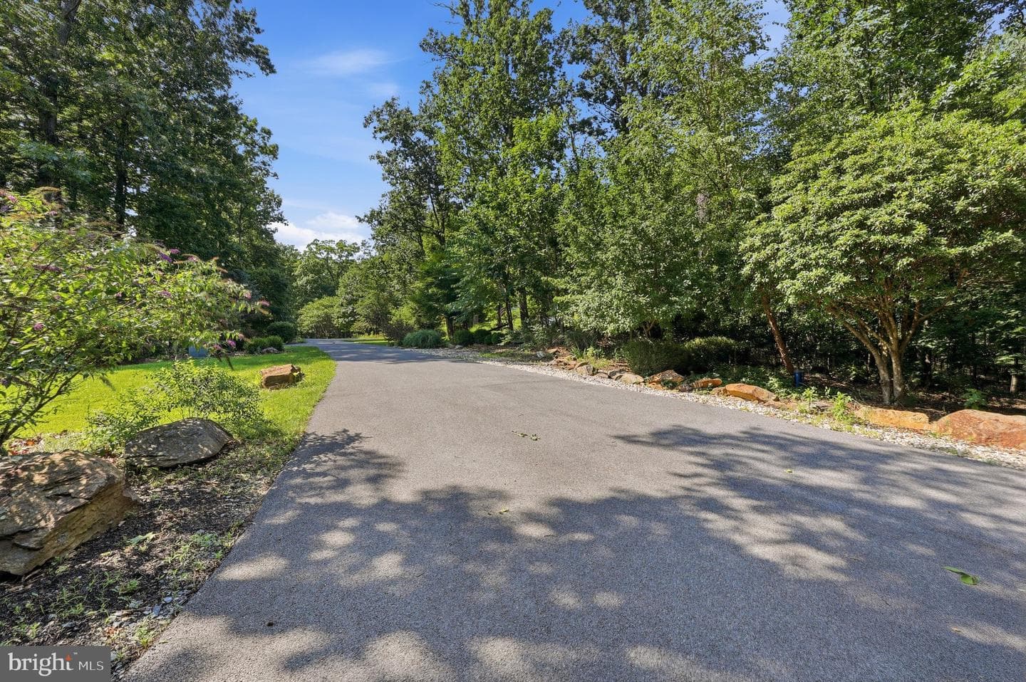 10029 Pine Tree Road photo 52
