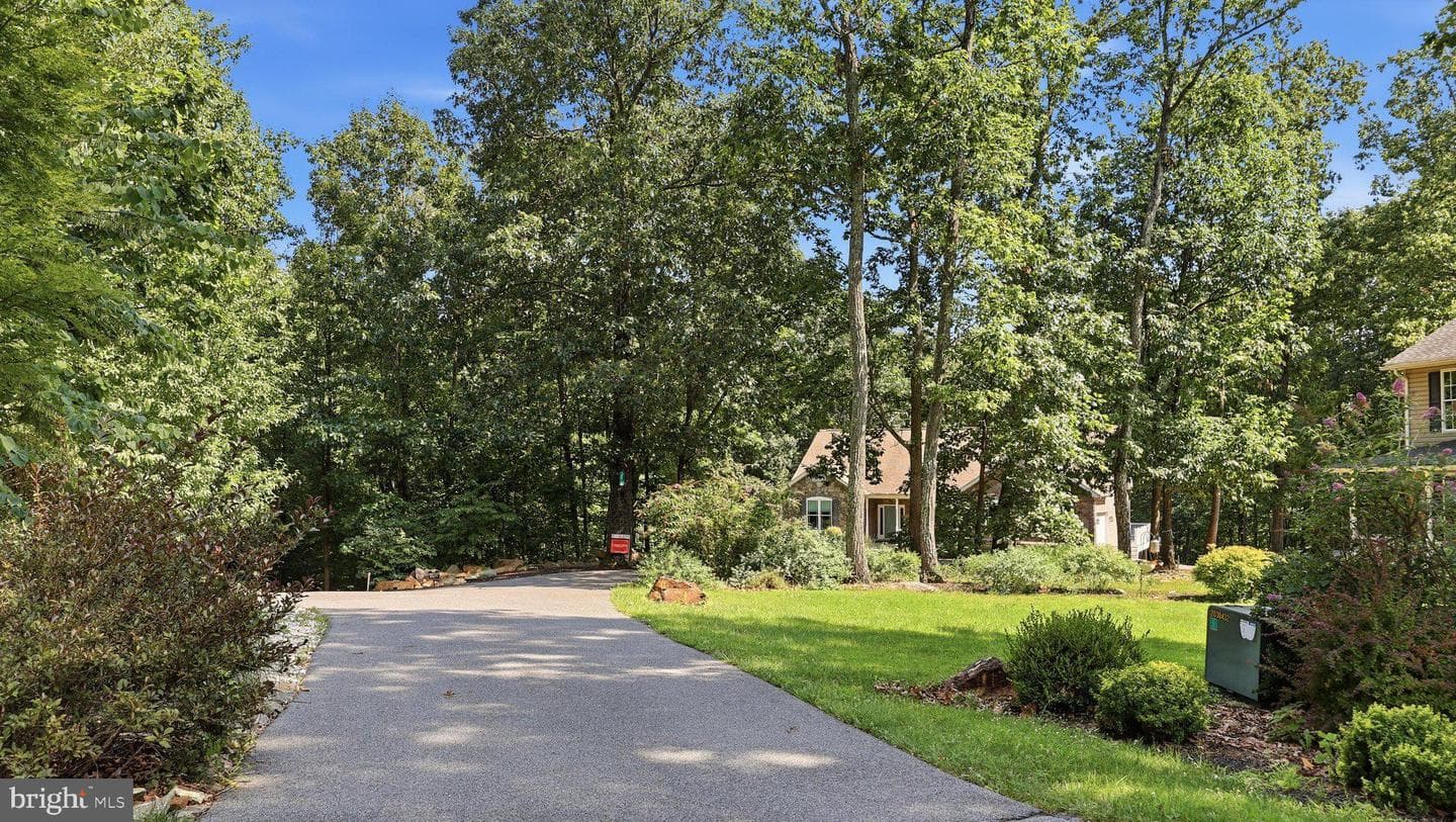 10029 Pine Tree Road photo 53