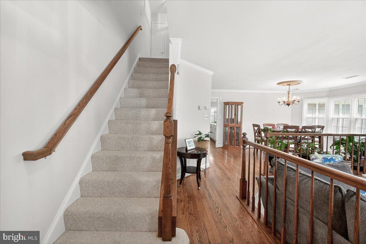 815 Dunbrooke Court photo 8