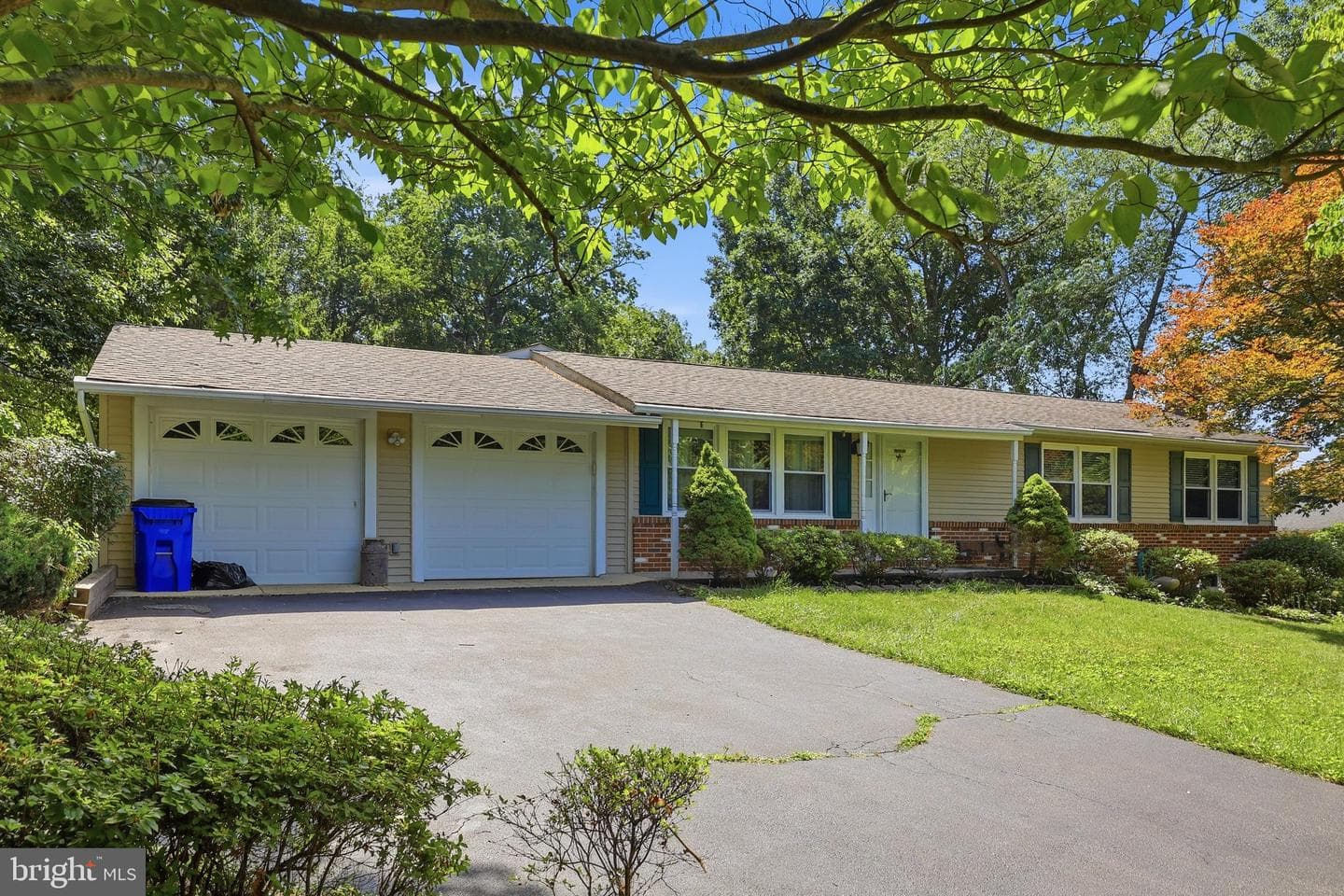 4403 Molesworth Terrace photo 48