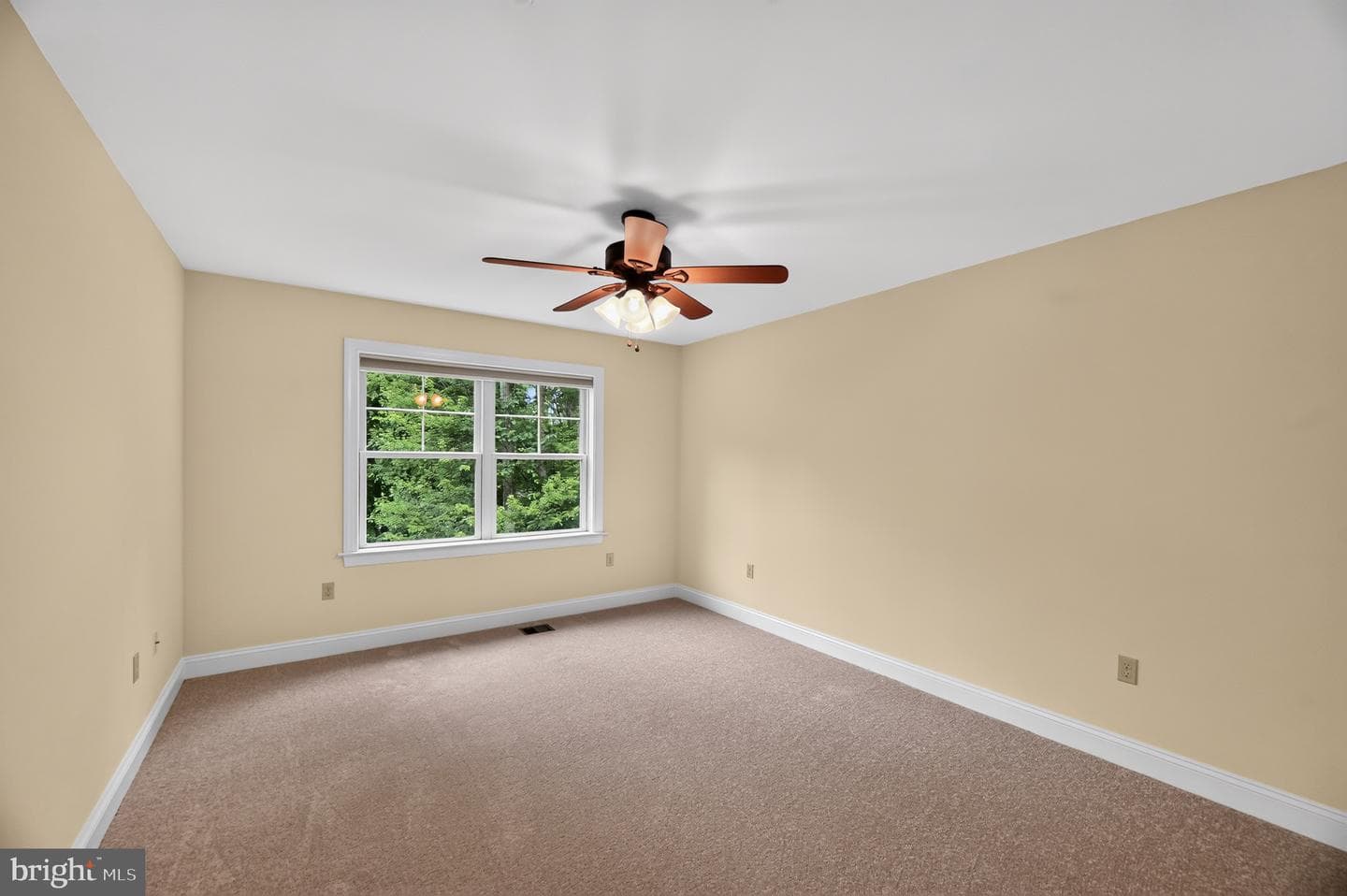 8711 Chestnut Grove Road photo 16